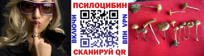 площадка клад  Нерюнгри  Псилоцибиновые грибы MAGIC MUSHROOMS 